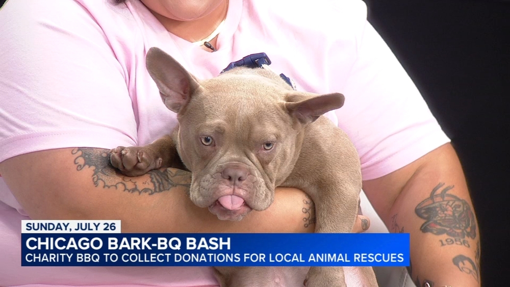 Chicago Bark-BQ Bash 1